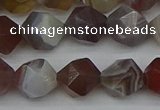 CNG7347 15.5 inches 10mm faceted nuggets botswana agate beads