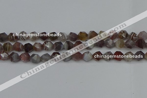 CNG7347 15.5 inches 10mm faceted nuggets botswana agate beads