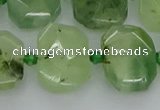 CNG7452 12*16mm - 15*20mm faceted freeform prehnite beads