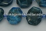 CNG7457 15.5 inches 12*16mm - 15*20mm faceted freeform apatite beads