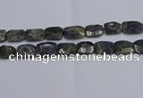 CNG7487 15.5 inches 18*25mm - 20*30mm faceted freeform labradorite beads