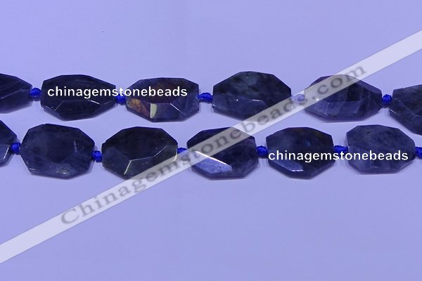 CNG7517 15.5 inches 25*35mm - 30*40mm faceted freeform labradorite beads