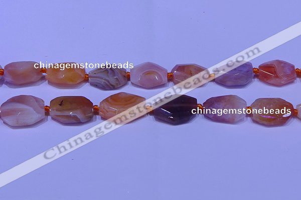 CNG7528 18*25mm - 25*35mm faceted freeform red Botswana agate beads