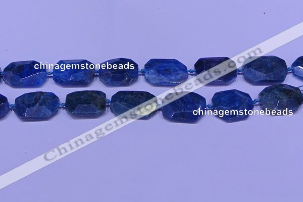 CNG7533 15.5 inches 18*25mm - 25*35mm faceted freeform apatite beads