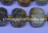 CNG7536 15.5 inches 12*16mm - 15*20mm faceted freeform agate beads