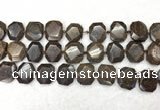 CNG7568 15.5 inches 18*25mm - 20*28mm faceted freeform bronzite beads