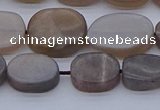 CNG7576 15.5 inches 10*14mm - 13*18mm freeform sunstone beads