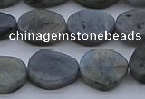 CNG7578 15.5 inches 10*14mm - 13*18mm freeform labradorite beads