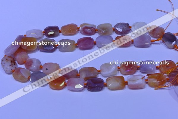 CNG7621 12*16mm - 13*18mm faceted freeform red botswana agate beads