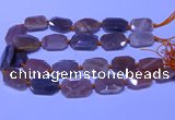 CNG7624 20*30mm - 22*32mm faceted freeform sunstone beads