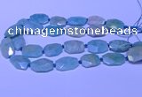 CNG7625 20*30mm - 22*32mm faceted freeform amazonite beads