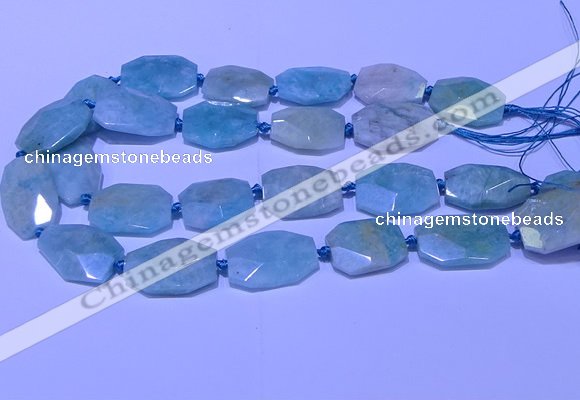 CNG7625 20*30mm - 22*32mm faceted freeform amazonite beads