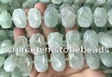 CNG7753 13*18mm - 15*25mm faceted freeform light prehnite beads