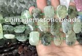 CNG7754 13*18mm - 15*25mm faceted freeform prehnite beads