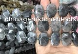 CNG7755 13*18mm - 15*25mm faceted freeform cloudy quartz beads