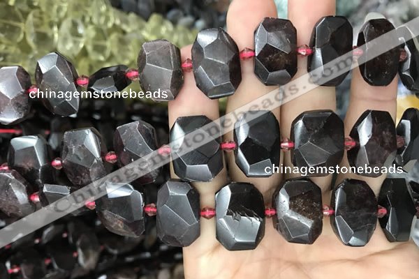 CNG7768 13*18mm - 15*25mm faceted freeform garnet beads