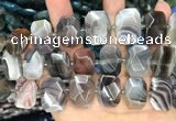 CNG7773 13*18mm - 15*25mm faceted freeform Botswana agate beads