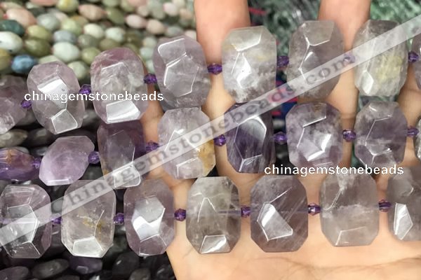 CNG7777 15.5 inches 13*18mm - 15*25mm faceted freeform amethyst beads