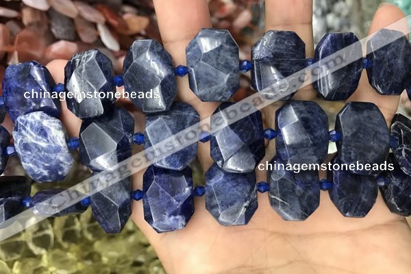 CNG7788 15.5 inches 13*18mm - 15*25mm faceted freeform sodalite beads