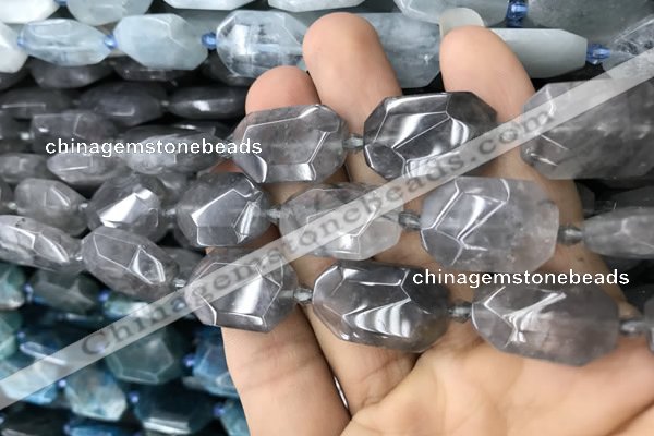 CNG7805 13*18mm - 18*25mm faceted freeform cloudy quartz beads