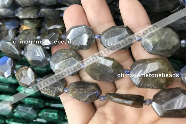 CNG7819 15.5 inches 13*18mm - 18*25mm faceted freeform labradorite beads