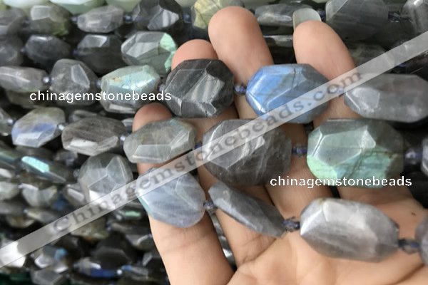 CNG7820 15.5 inches 13*18mm - 18*25mm faceted freeform labradorite beads