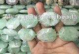 CNG7831 20*28mm - 25*35mm faceted freeform light prehnite beads