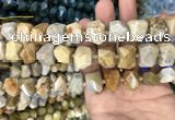 CNG7844 12*16mm - 15*20mm faceted nuggets fossil coral beads