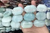 CNG7872 22*30mm - 28*35mm faceted freeform amazonite beads