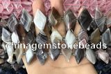CNG7877 13*20mm - 15*25mm faceted freeform Botswana agate beads