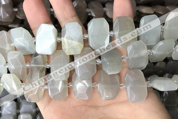 CNG7880 13*18mm - 15*25mm faceted freeform moonstone beads