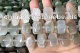 CNG7881 13*18mm - 15*25mm faceted freeform moonstone beads