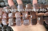 CNG7885 13*18mm - 15*25mm faceted freeform moonstone beads