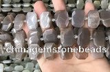 CNG7886 13*18mm - 15*25mm faceted freeform moonstone beads