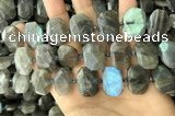 CNG7887 13*18mm - 15*25mm faceted freeform labradorite beads