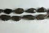 CNG7955 15.5 inches 15*25mm - 20*40mm nuggets smoky quartz beads