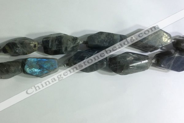 CNG7964 15.5 inches 15*25mm - 20*40mm nuggets labradorite beads