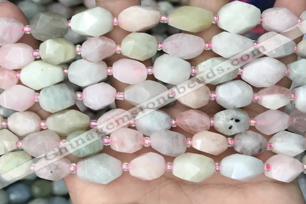 CNG8516 15.5 inches 8*12mm - 10*15mm faceted nuggets morganite beads