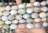 CNG8517 15.5 inches 13*17mm - 15*20mm faceted nuggets morganite beads