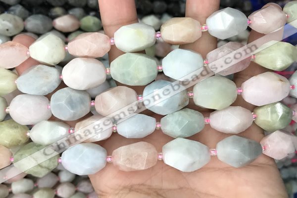 CNG8517 15.5 inches 13*17mm - 15*20mm faceted nuggets morganite beads