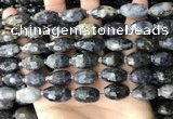 CNG8521 15.5 inches 10*16mm - 11*20mm faceted nuggets iolite beads