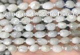 CNG8530 15.5 inches 8*9mm - 9*11mm faceted nuggets moonstone beads