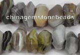 CNG855 15.5 inches 7*13mm – 10*20mm faceted nuggets Botswana agate beads