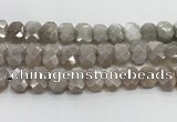 CNG8615 10*13mm - 12*16mm faceted freeform moonstone beads