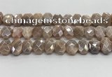 CNG8617 10*13mm - 12*16mm faceted freeform AB-color moonstone beads