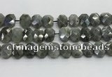 CNG8622 10*13mm - 12*16mm faceted freeform labradorite beads