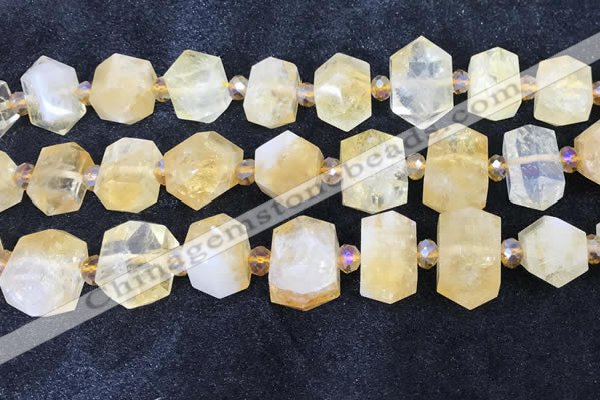 CNG8674 12*20mm - 20*33mm faceted nuggets citrine beads