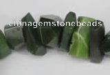 CNG869 15.5 inches 7*14mm – 13*25mm faceted nuggets Canadian jade beads