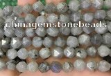 CNG8717 15.5 inches 10mm faceted nuggets labradorite gemstone beads