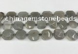 CNG8809 15.5 inches 16mm - 20mm faceted freeform moonstone beads